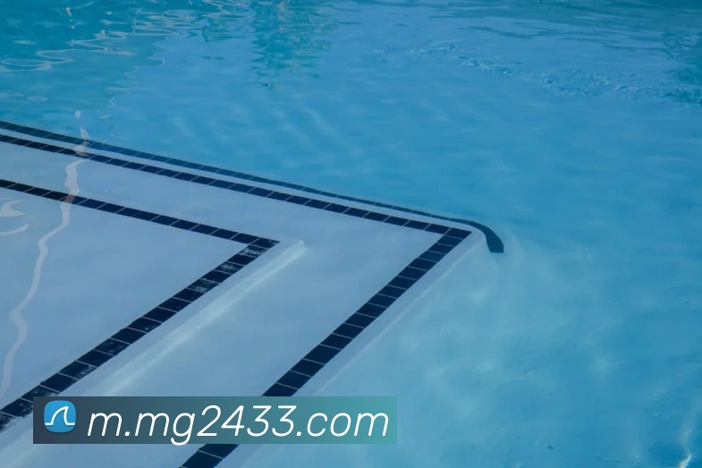 MG娱乐平台官网平台生态图